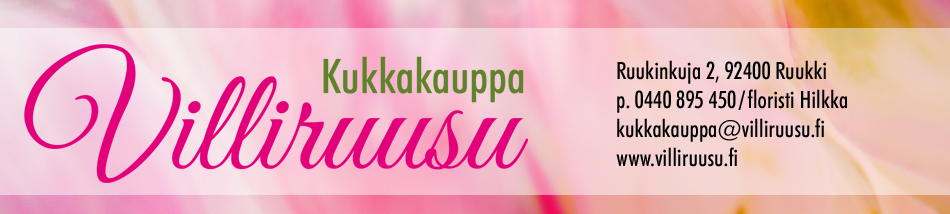 Kukkakauppa Villiruusu